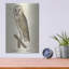«Barn Owl 1560-1585» par Inconnu, art mural en métal-2057431151