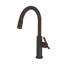 Jeter Single Handle Pull Down Kitchen Faucet-138820319
