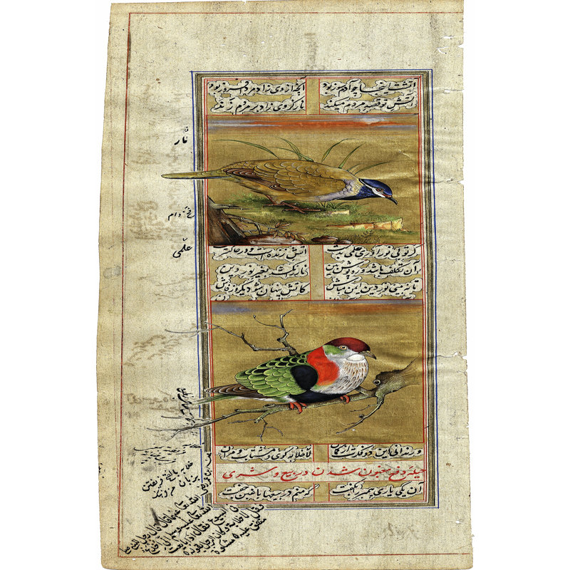 On FAP Bird Pair from India II 1 Piece Wrapped Canvas Wall Art, 91cm H x 61cm W
