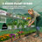 10'x11'x6' Walk-in Tunnel Greenhouse with Shelves, Mesh Door and Windows, Plant Hot House with PE Cover, Outdoor Green House for Patio Lawn Garden, Green-124420945