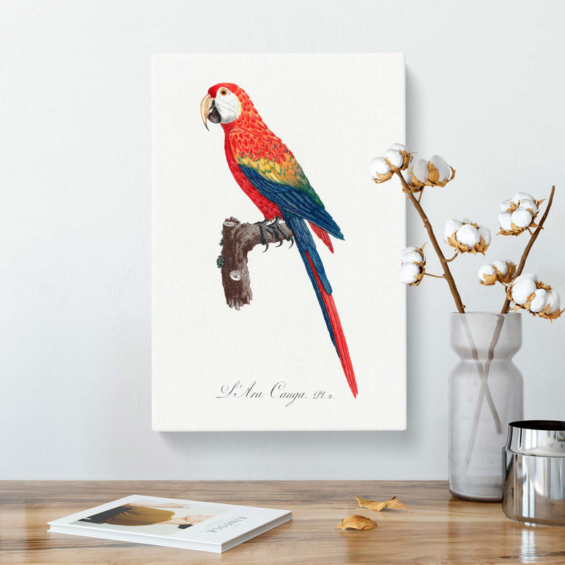 Ara Canga Parrot by F. Levaillant - Wrapped Canvas Painting Pint - Wrapped Canvas, 76cm H x 50cm W x 3cm D