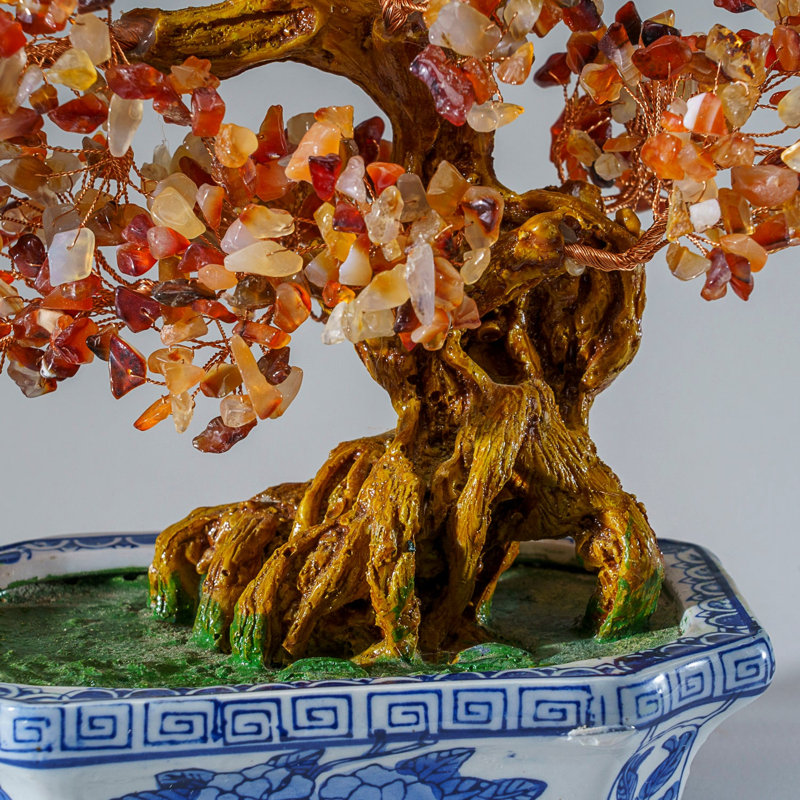 Véritable bonsaï cornaline en pot de céramique carré (12 po)