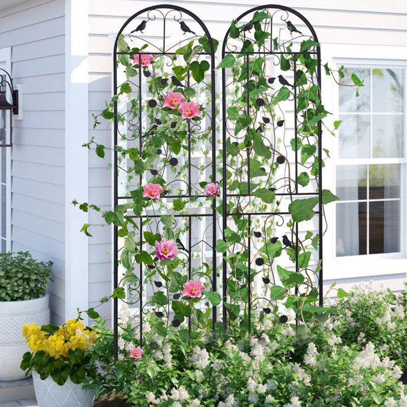 Talence 210.05cm H x 50.05cm W Iron Lattice Panel Trellis Side Panel
