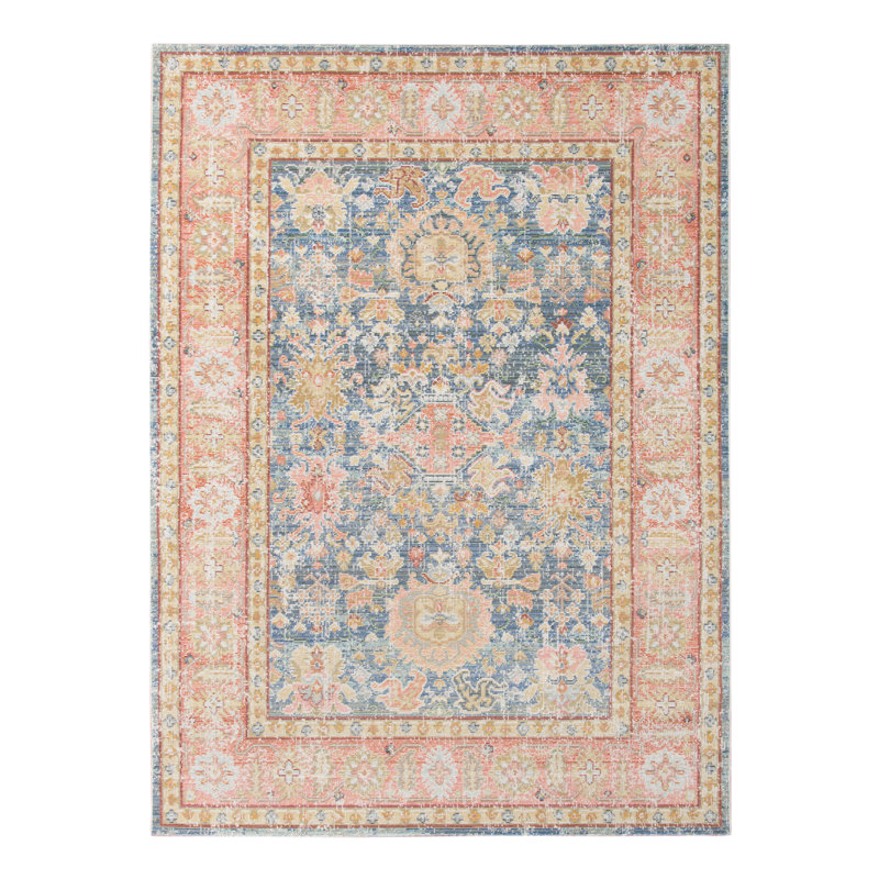 Bewdley Weathered Vintage Oriental Boho Area Rug, Rectangle 5'3" x 7'3"