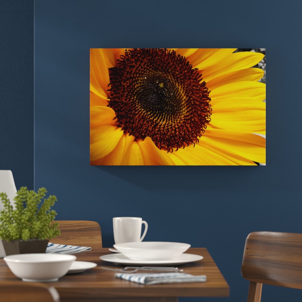 Leinwandbild „Große anmutige Sonnenblume" von Christian Hold, Fotodruck