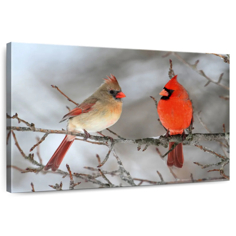 Cardinal Bird Couple, 26" H x 39" W