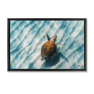 «Sandbar Sea Turtle», toile flottante encadrée par Max Blakesberg Studios