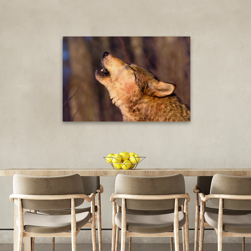 Lonesome Howl - photographie animaux, loups, art, H 36 po x l 24 po