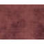 Area Rug in Rust