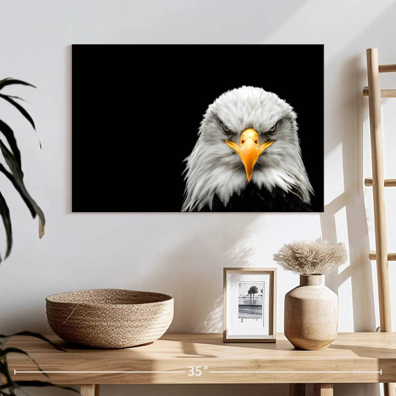 Angry Bald Eagle, 16" H x 24" W