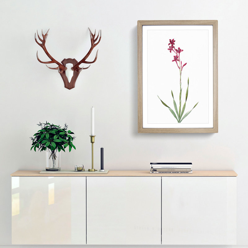 Bugle Lily in Pink by Pierre-Joseph Redoute - Picture Frame Art Print, 65cm H x 48cm W x 2cm D, Oak Framed