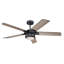 Prochoros Ceiling Fan with LED Lights