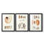 Shell Collection I - Impression sur mesure encadrée de qualité supérieure - 3 pièces-992300477-992300419