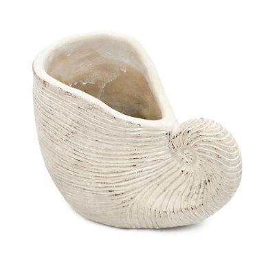 8.5X5.5X6.3" Sand And Cement Nautilus Shell Planter With Textured Beige Finish