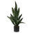 Sansevieria Artificial Plant