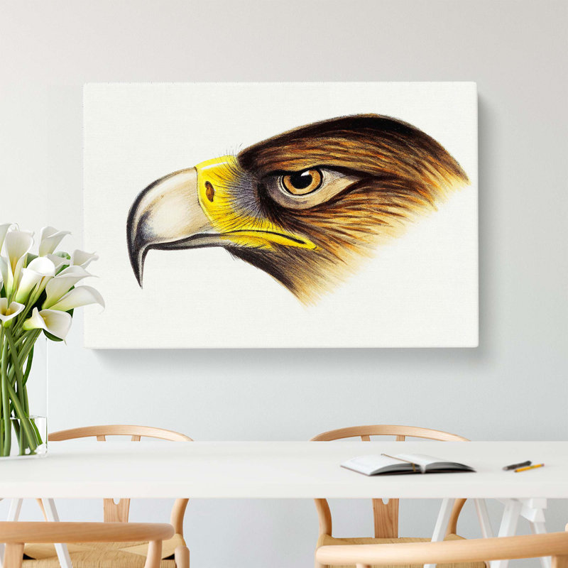 Eagle by John Gould - Wrapped Canvas, 35cm H x 50cm W x 3cm D