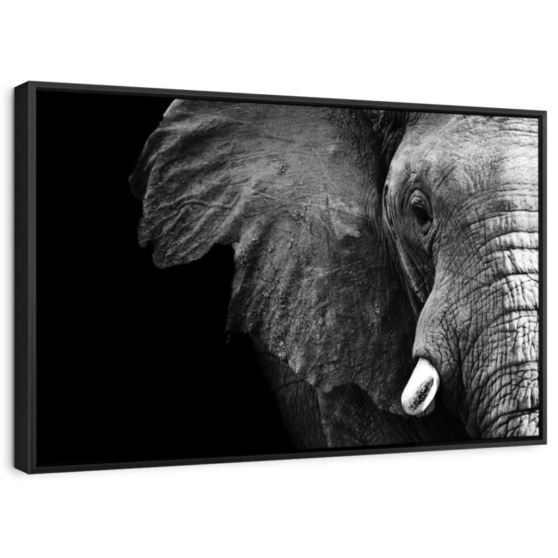 Animal «Wise Elephant Wall Art», H 27 po x l 40 po