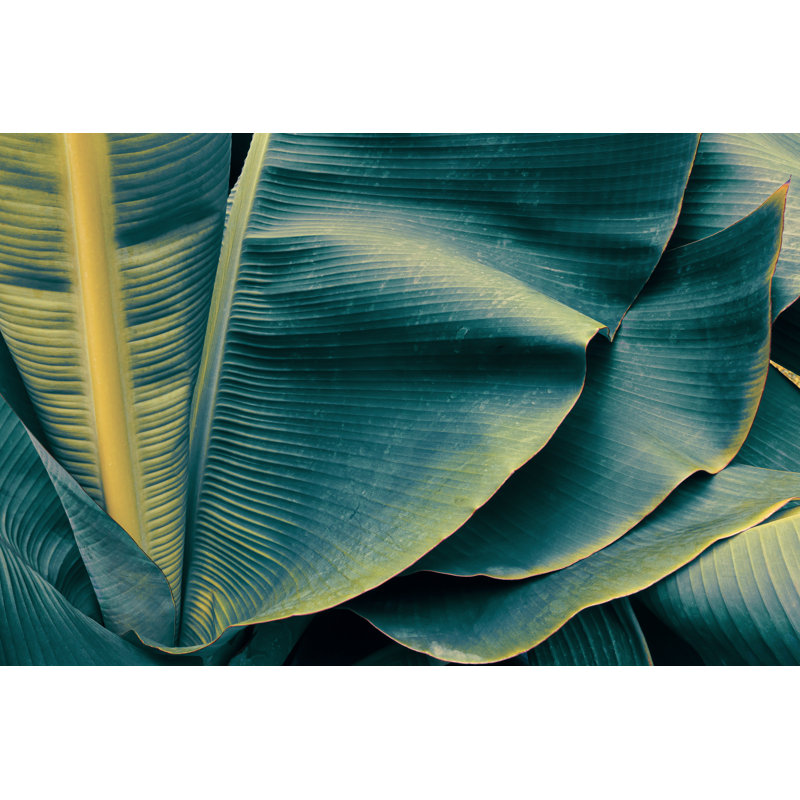 Lillehammer Banana Leaf - Wrapped Canvas Print, 30cm H x 46cm W x 3.8cm D