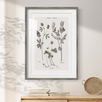 Valery -Gallery Wrapped Canvas