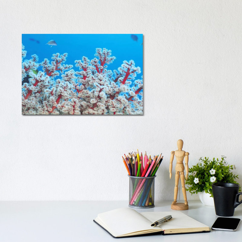 Red & White Gorgonian Coral by Unknown Artist - Wrapped Canvas Print, 20.32 cm H x 30.48 cm W