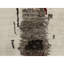 Tapis unique 2 pi 4 po x 4 pi 8 po Wolverton