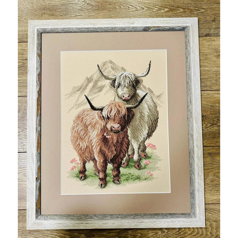  Kit de point de croix compté Highland Buddies R2090