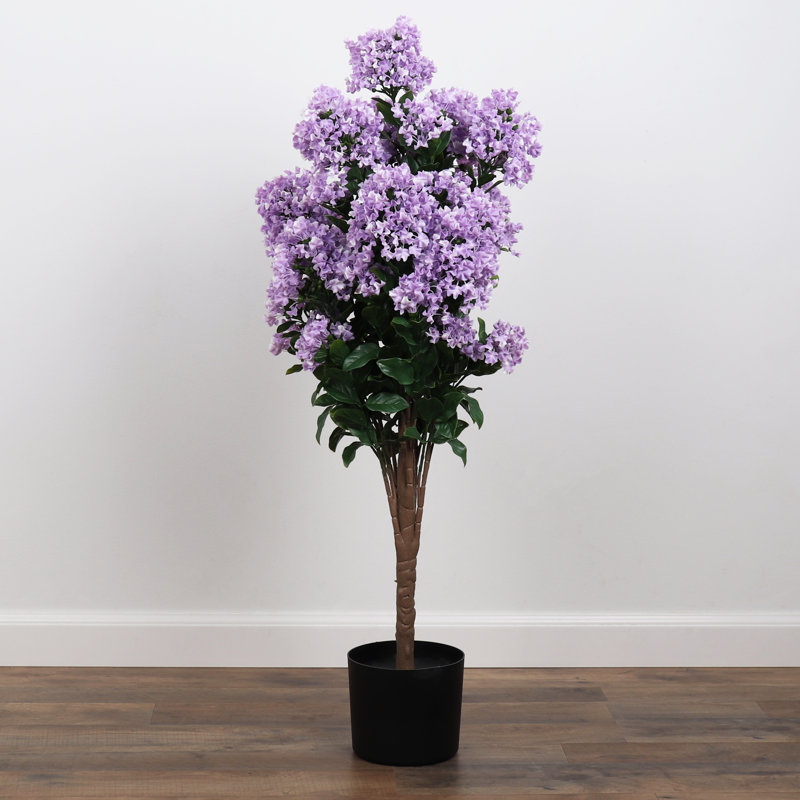 Potted Lilac - Medium, Purple