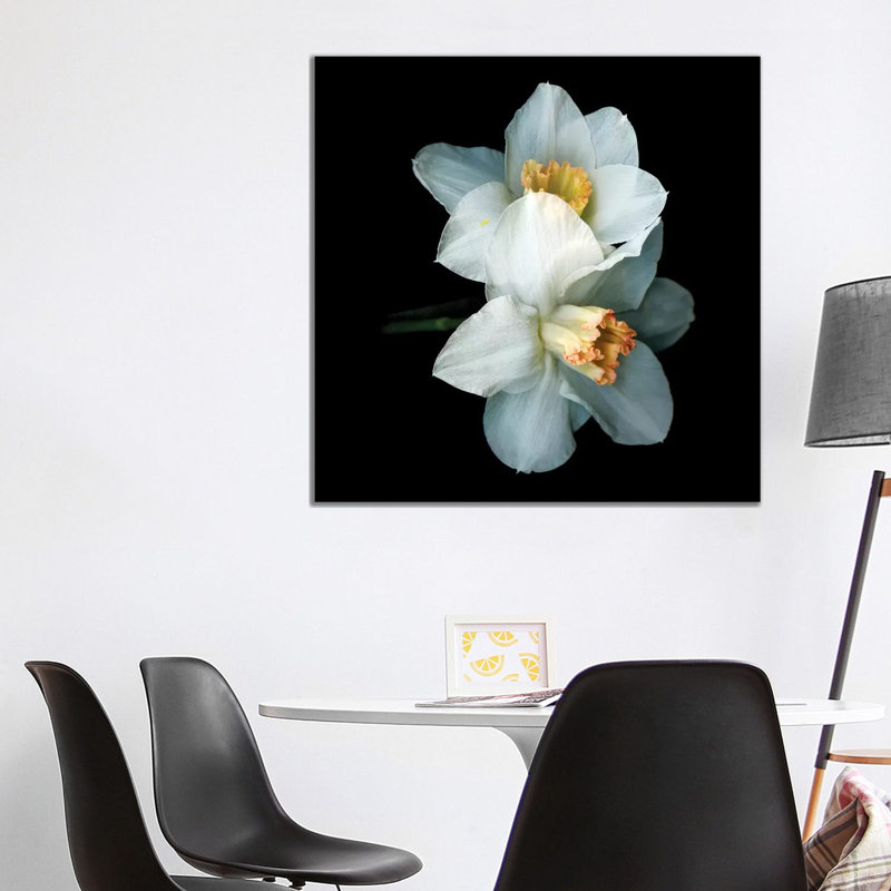 Daffodil Special V by Magda Indigo - Wrapped Canvas Print, 93.98 cm H x 93.98 cm W x 3.175 cm D