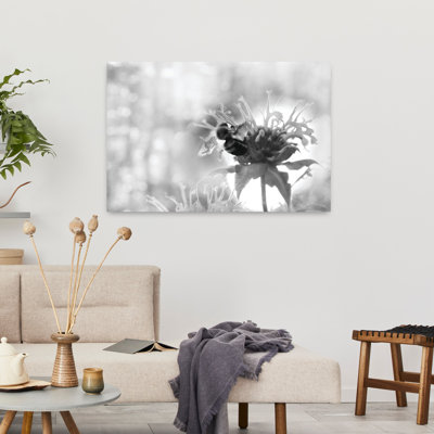 Fleurs sauvages II, art contemporain