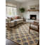 Aquila Geometric Area Rug in Gray/Beige/Brown-1505405854