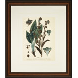 Verde Tinted Botanical II Print