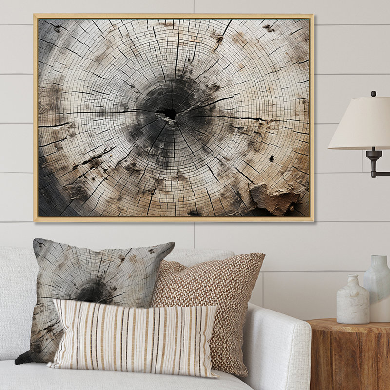 Arbre coupé en souche - décoration murale arbre séquoia, Cadre naturel flottant, H 12 po x l 20 po x P 1 po