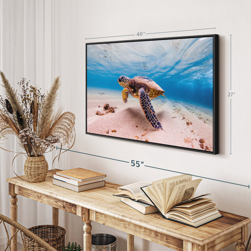 «Sandy Turtle», reproduction sur toile, H 27 po x l 40 po