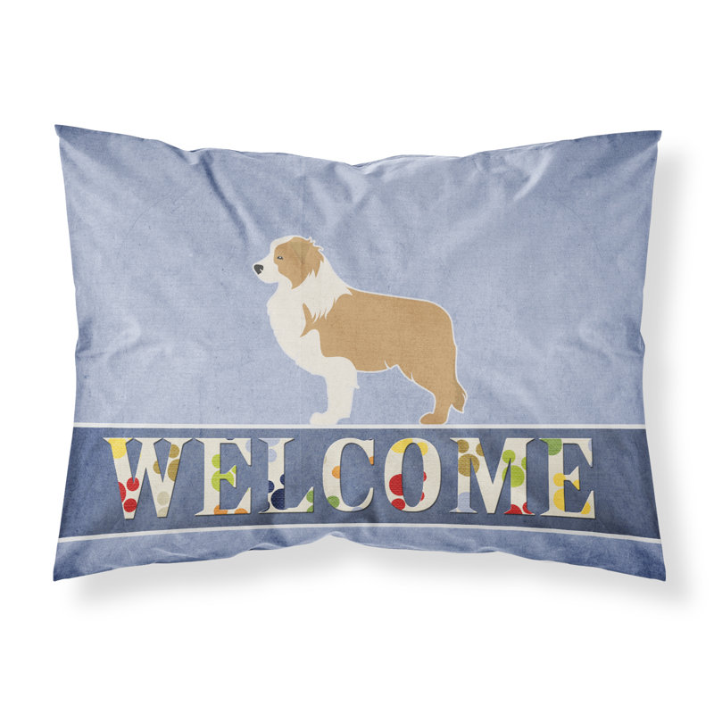 Microfiber, Red Border Collie