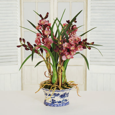 Cymbidium Orchid In Oval Pot