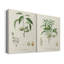 Toile tendue avec châssis antique I-Premium Botanical Antique-1843658400