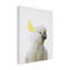 «Peekaboo Cockatoo On Canvas» par Lola Peacock, reproduction-828654694