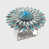 Turquoise/Shiny Silver selected