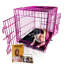 Caisse pour animaux-213544324-221677261