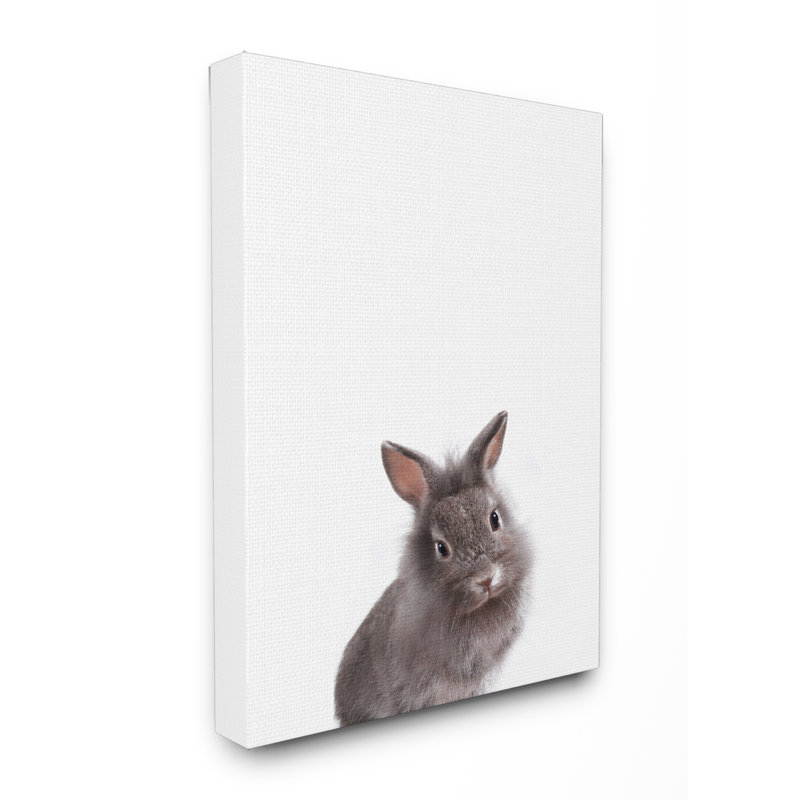 « baby lapin studio studio », art sur toile, H 30 po x l 24 po x P 1,5 po