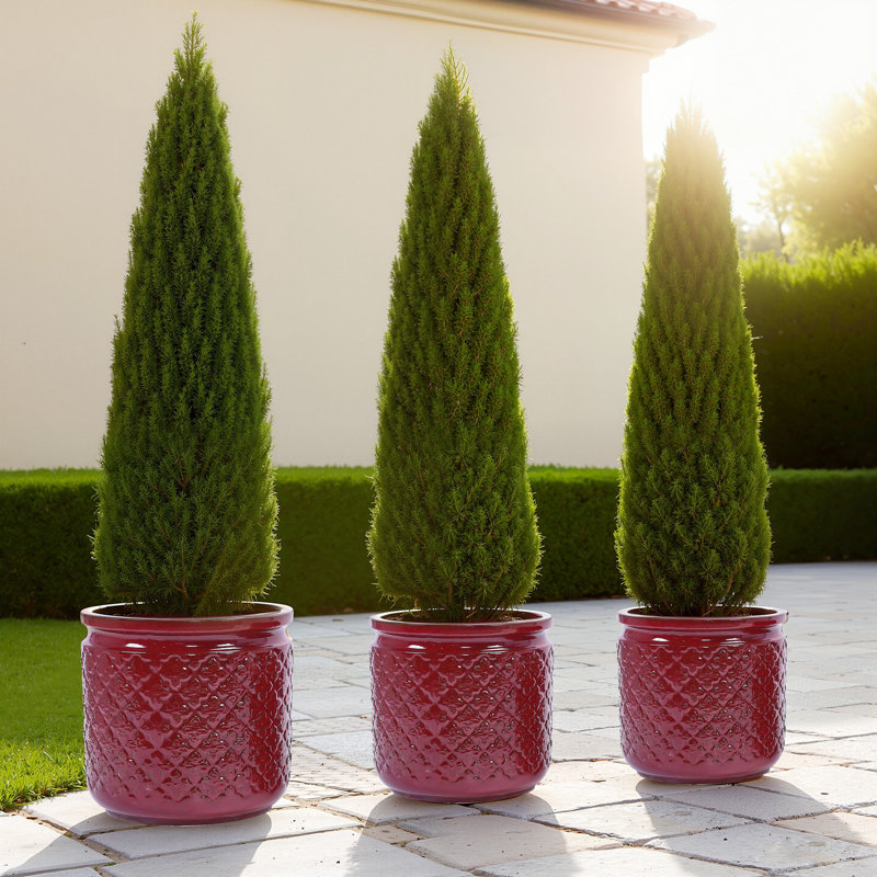 Ensemble de 3 pots de fleurs décoratifs pour l'extérieur 15 "en céramique avec pot de drainage