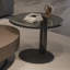 Table basse moderne et simple ovale-112691258