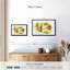 Impression sur toile Lemon Harvest Splash-41715041
