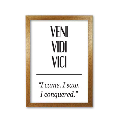 Veni Vidi Vici - Print