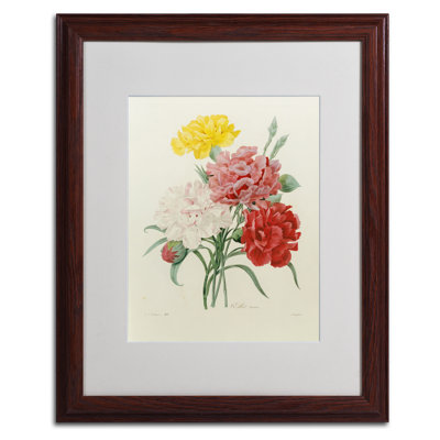" Carnations From Choix " by Joseph Redoute