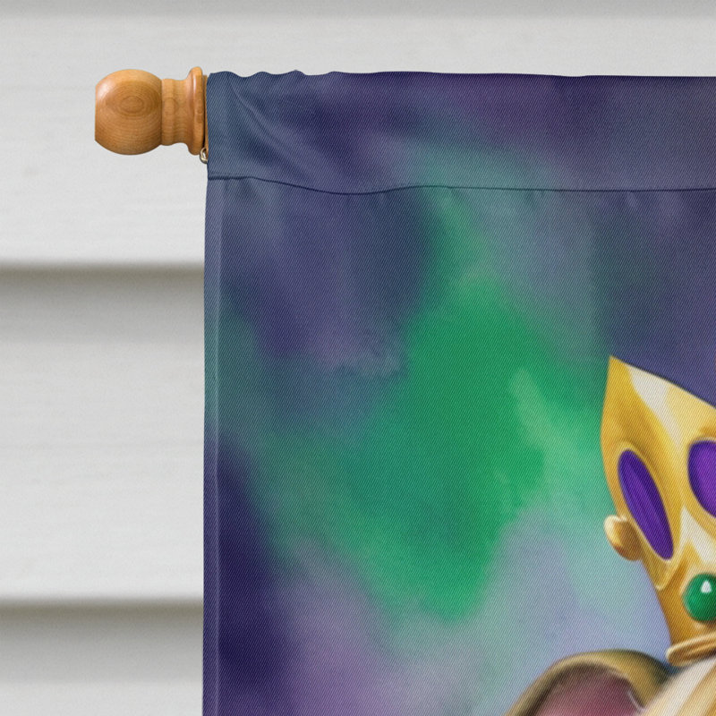 Drapeau de maison de Mardi Gras en polyester double face H 28 po x l 40 po