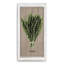 Thym par Olivia Rose - impression sur toile tendue-73842778