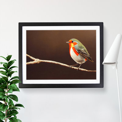 Dramatic Robin Bird - Single Picture Frame Print