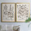 Sépia Besler Botanicals III - Ensemble de 2 reproductions de cadres photo sur toile-729651133-729651110