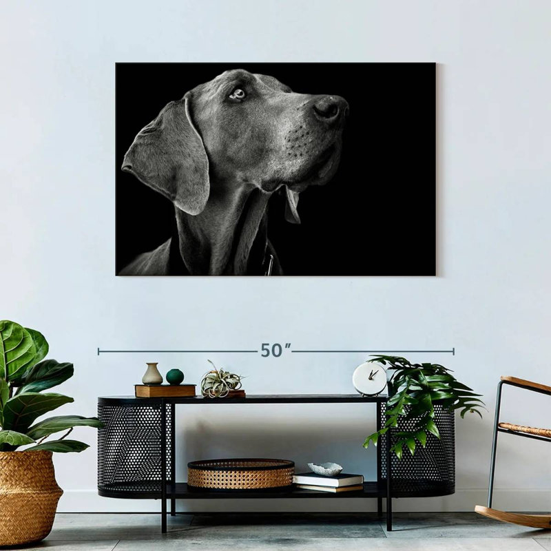 Brampt Monochrome Dog
